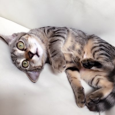 えリリん