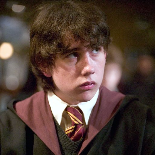 Nevillefins's profile picture. Gryffindor en @Hogwartssite. #Pottertty
Amante de la herbologia, defensor de los puntos de Gryffindor. Orgulloso de mi familia.