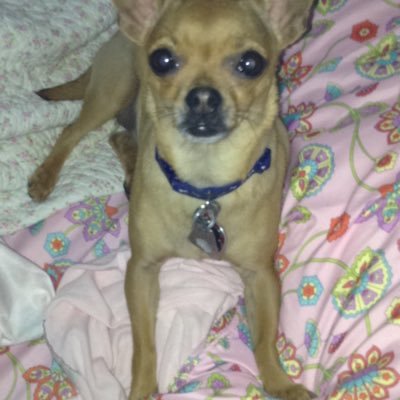 mproto1228's profile picture. 