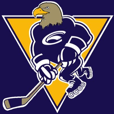 The official twitter for the Clarion University Inline Hockey Club. Instagram: @Clarionhockey