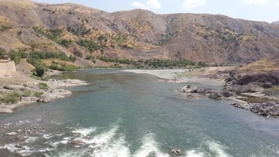 ZH8787's profile picture. A muslim on his face and knees is stronger than a king on his throne.