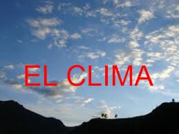 información del clima en tiempo real