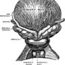 UrologyBOS's profile picture. 