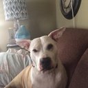 Roger Gasser - @roger_gasser - Twitter