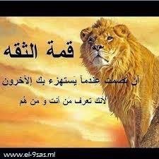 d_e6tp's profile picture. متفرّقات تعارف
باصدقاء