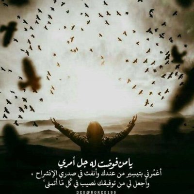 essaharbi5's profile picture. 