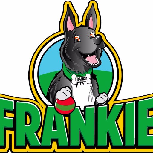 Frankie the Dog - Ambassador for Pet Rescue & Adoption
Teaching children the importance of caring for animals, rescue and adoption.
