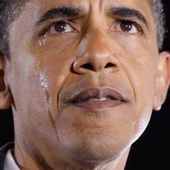 lolanelsonn's profile picture. hey