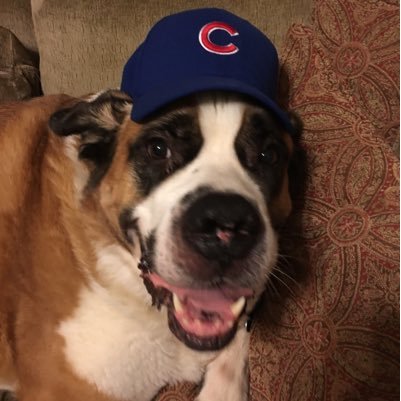 jbrecht101's profile picture. 