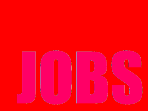 SEOJobsNYC's profile picture. Hottest and Highest Paid SEO Jobs in New York City. Delivered every few hours.