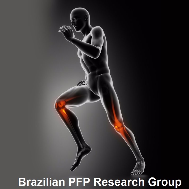 BrazilianPFPResearchGroup