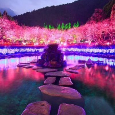 1awesomeweek_'s profile picture. YouTube channel coming soon!!