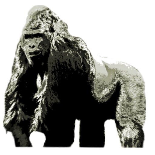 We are a startup apparel venture based in Boulder, Colorado dedicated to the preservation of lowland gorillas