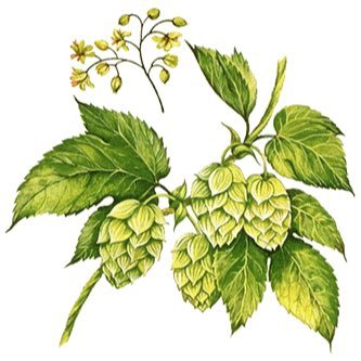 We are a craft brewery dedicated to making delicious beers using the best ingredients available sourced from local organic farmers.