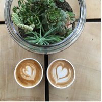 Bellden Cafe (@belldencafe) 's Twitter Profile