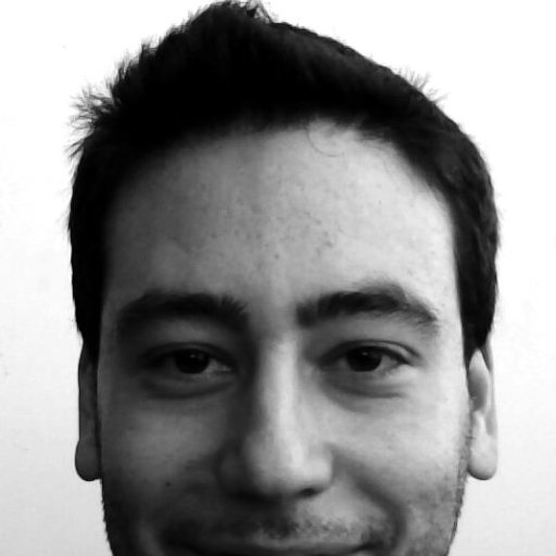 AndreFLLourenco's profile picture. 