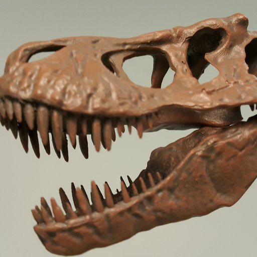 Realistic, high quality Dinosaur fossils.