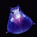 Terry Leighton - @Essixboy - Twitter