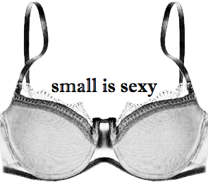 32aabra's profile picture. Author of the Itty Bitty Bra Guide & specialist in small cup sizes (AA, A, B). Need help finding bras that fit? Get in touch: http://t.co/3MogFun0Gx