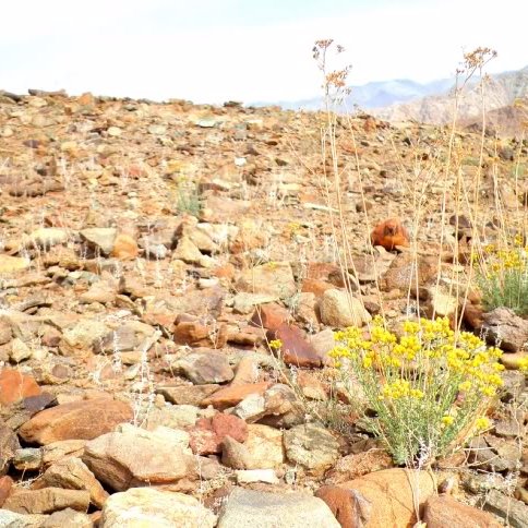 tranthu21071991's profile picture. 