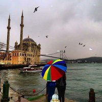 ورد الشام (@abhk2) Twitter profile photo