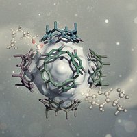 TiefenbacherLab (@tiefenbacherlab) 's Twitter Profile Photo