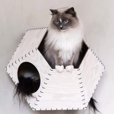 Ailurophile design studio in Copenhagen, DK. Making nice things for cats and their people since 2016.