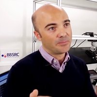 DavareLab (@marcodavare) 's Twitter Profile