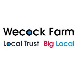 WeBigLocal Profile