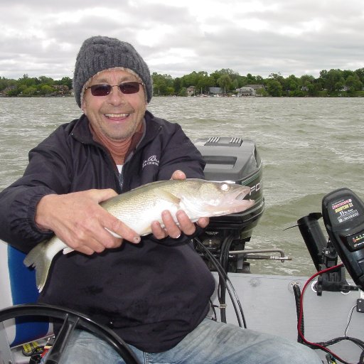 dball224's profile picture. 