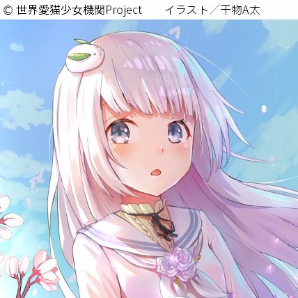 世界愛猫少女機関Project【公式】さんのプロフィール画像