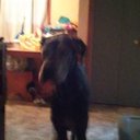 Ann Borsink - @ann_borsink - Twitter