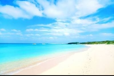 No0_onlyu's profile picture. 気軽にFollow me