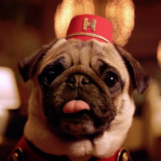 wa_gomu's profile picture. 