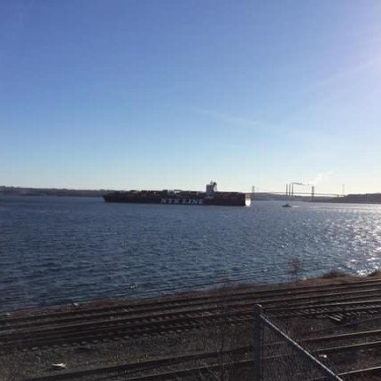 royj62's profile picture. 