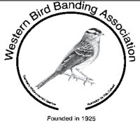 WBBA (@wbba_birds) 's Twitter Profile