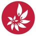 AVID Beauty (@avidbeauty) Twitter profile photo AVID Beauty (@avidbeauty) Twitter profile photo
