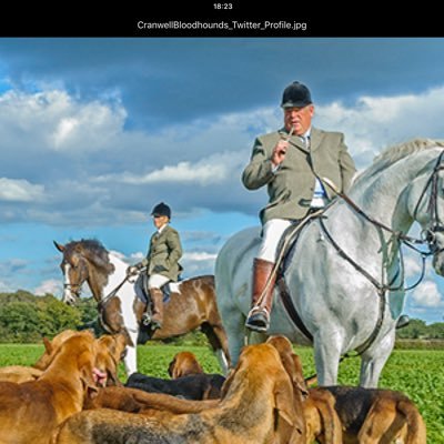 Cranwellbloodh2's profile picture. Cranwell bloodhounds formed in 1992, this is a private owned pack of bloodhounds owned by Phil and Wendy Broughton. Based in Lincolnshire.