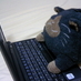 hito (@_hito_) Twitter profile photo hito (@_hito_) Twitter profile photo