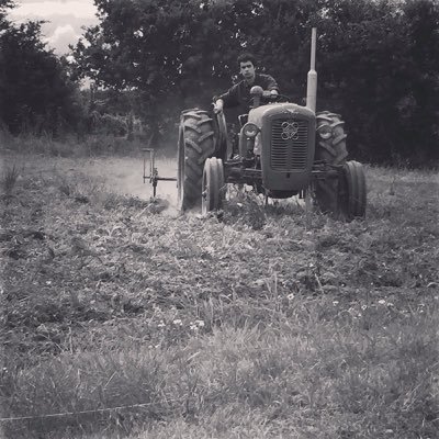 dbrown94's profile picture. 25, North Walsham young farmers 🌾 agricultural engineer🔩, and vintage tractor owner🚜