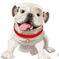Nokomis (@nokobulldogs) 's Twitter Profile