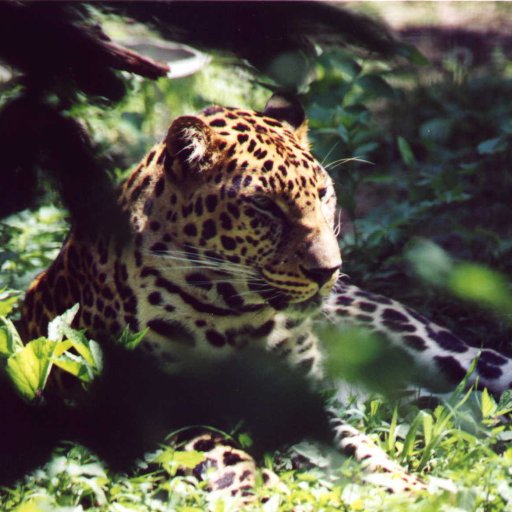 revdev330's profile picture. 