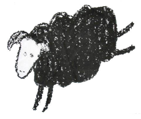 estlincs's profile picture. ridding the world of sanity one backing plate at a time, I did it.