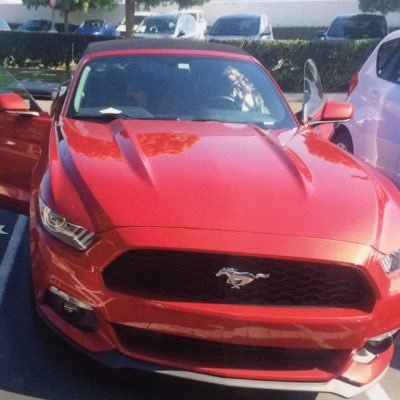 topfive5percent's profile picture. 