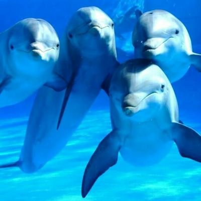 wilmerpinto78's profile picture. 