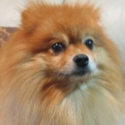 #DMM英会話 でのレッスンについて日々つぶやいています。#イケメン英会話学習法 を確立?😳 氷室京介Fan💙 #お友達紹介コード 384603560 ぜひ✨