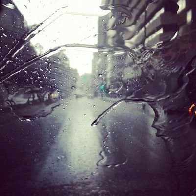 alfonso_moscoso's profile picture. 