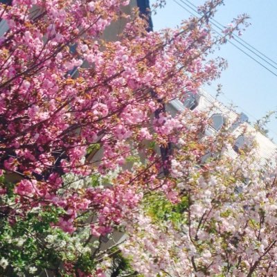 アサノ/coco ꧁IP꧂さんのプロフィール画像