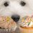 molliebdoggieb3's profile image