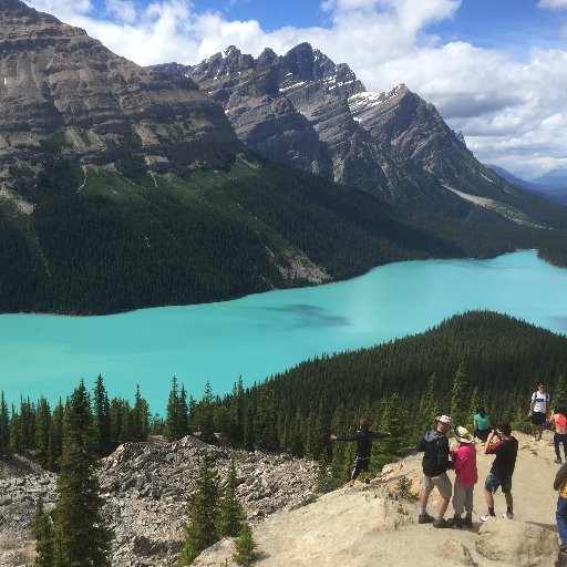 Perrymbraun's profile picture. 